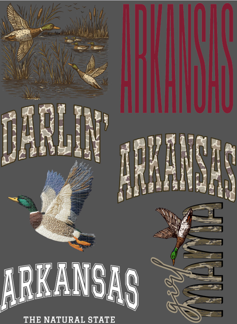 Pre Made Arkansas DTF GangSheet (22x30)