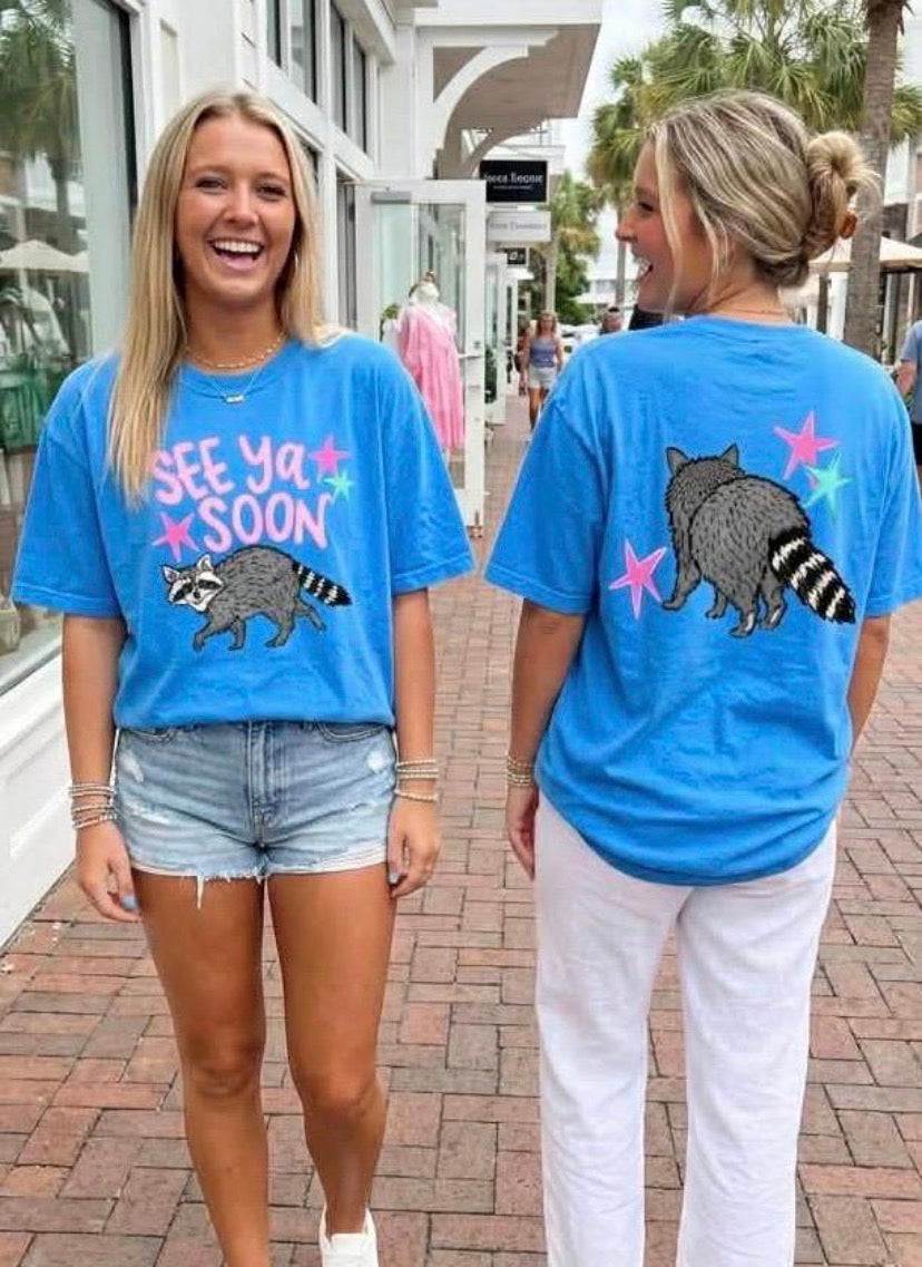 See you later Raccoon DTF Transfers